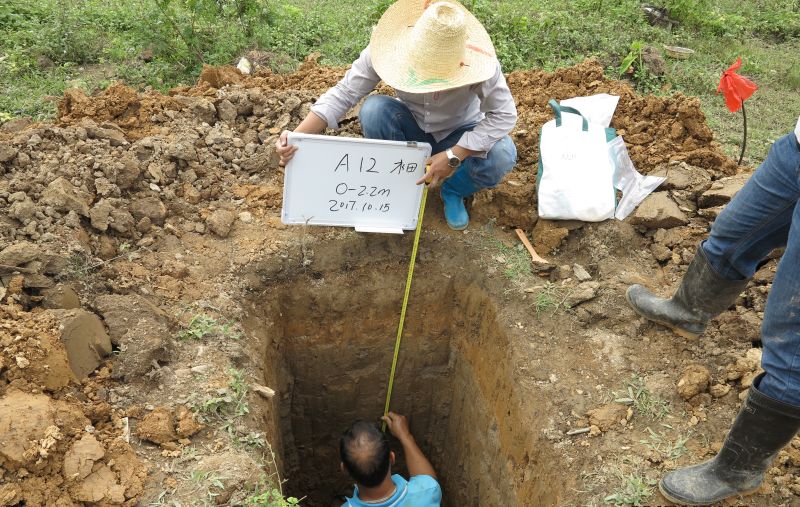 广西大新铅锌矿矿区重金属污染土壤整治项目园地情形视察与危害评估（1547亩污染农田）