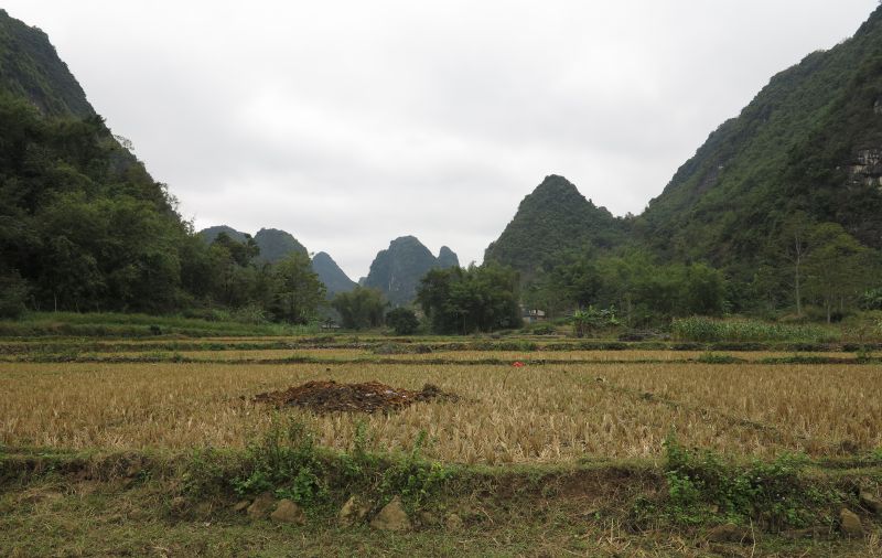 土壤修复_龙八long8