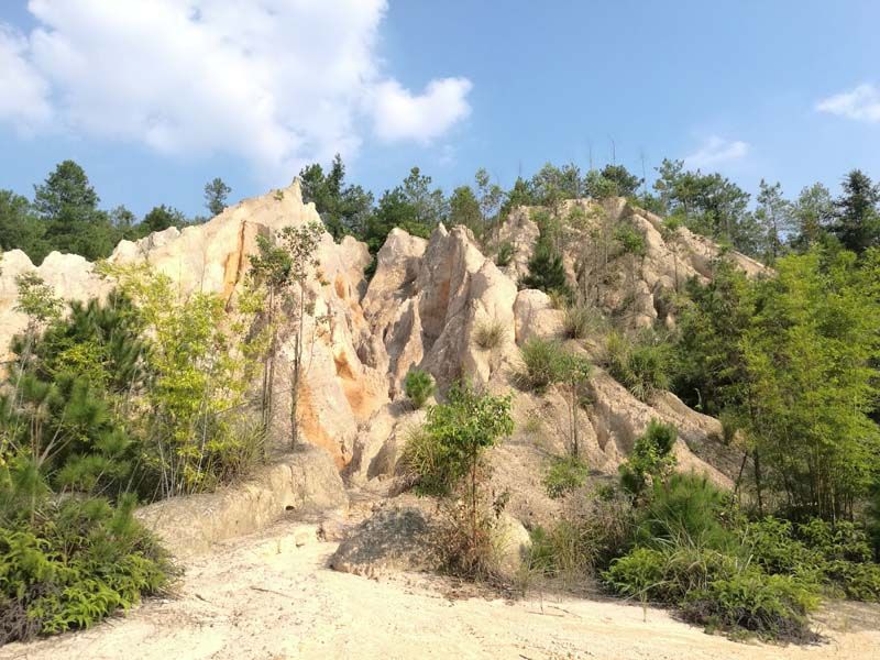 赣县区大田乡放弃稀土矿区重金属综合治理EPC工程(一期)