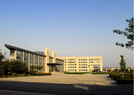 市政文旅_龙八long8